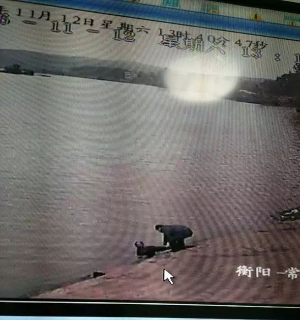 �������������������¼����������