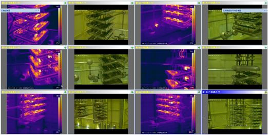 �������������߼��ϵͳ�ڻ���վ�е�Ӧ��