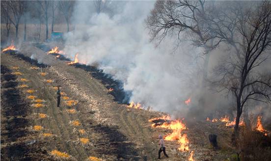 ���׽ոѱ���������ӱ����Ǽ�ؼ���ȫ���֣�Υ���ط���