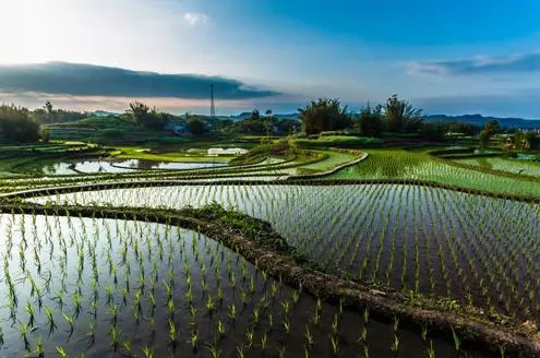 ������ˮ��ɽ��ũ����ɢʽ��ˮ����Զ�̼��ϵͳ������ˮ������Ϣ������