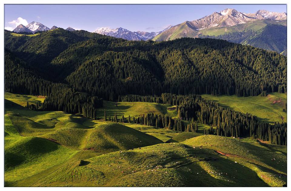 ���ת̨�����˻��������������������������ġ��ڿƼ���