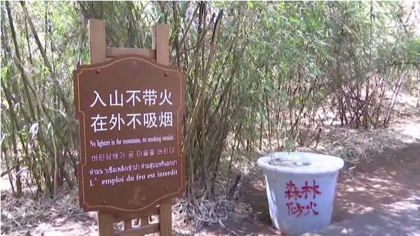 �ޣ�����ɽ��������35����ɭ�ֻ�������Ϊ����...