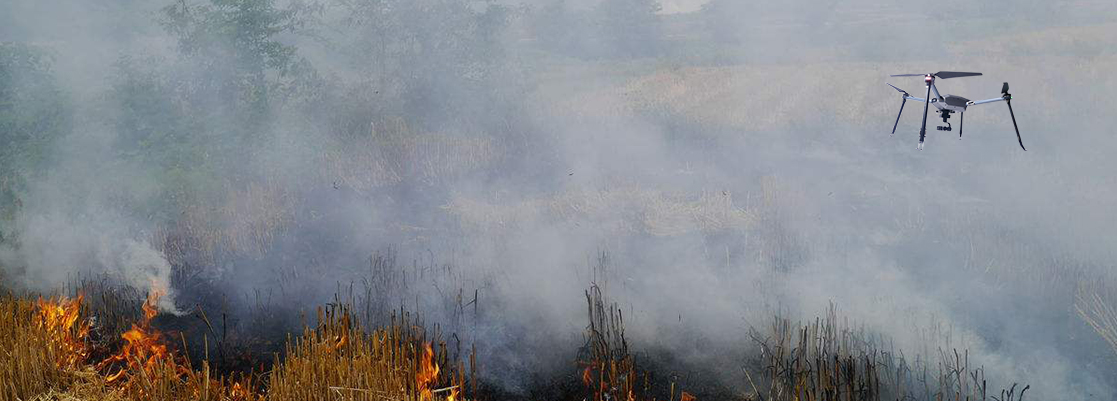 ���˻��ոѷ���Ѳ��������