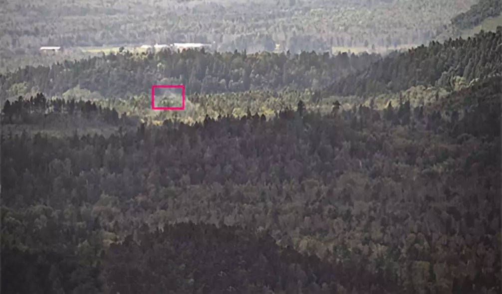 ��ʱ������¼���ɭ�ֲ�ԭ�����Ӳ���˫����������̨�����HRC-P6500��Чʵ��