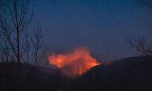 ɭ�ַ����ӳ��� ����Щ��ʾ��������ȡ��ѵ��