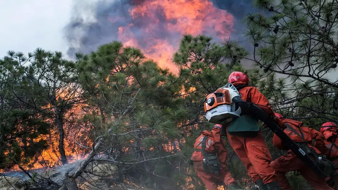 ���ġ����ǡ��䡰�𺣡���ɭ�ֻ��ַ�����Ҫ�ǻۻ�Ӳ�Ƽ�